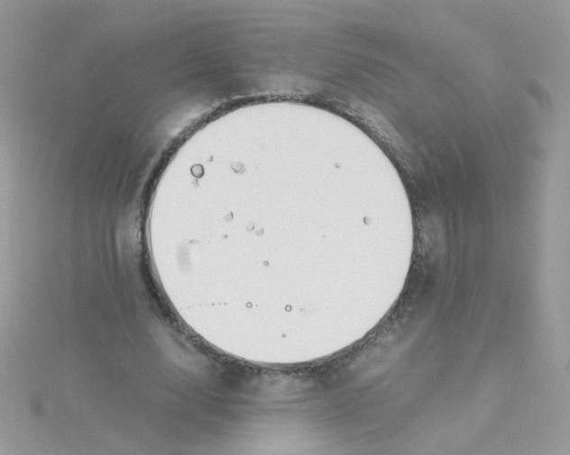 X0000115480632200911271329