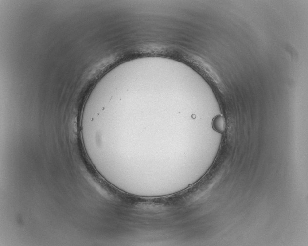 X0000115480633200911271329