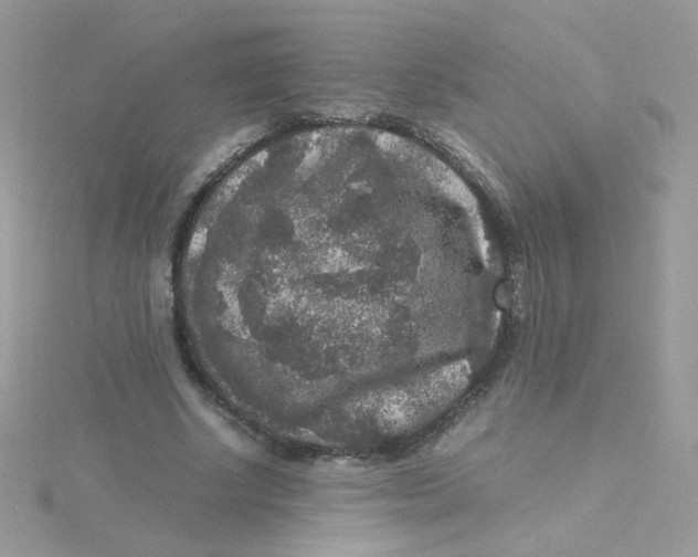 X0000115480634200911271329