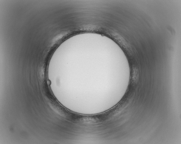 X0000115480636200911271329