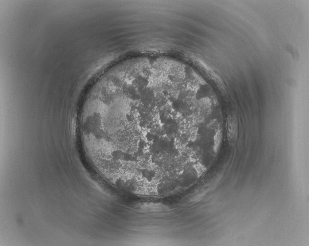 X0000115480637200911271329