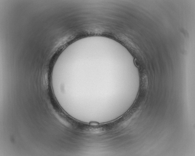 X0000115480638200911271329