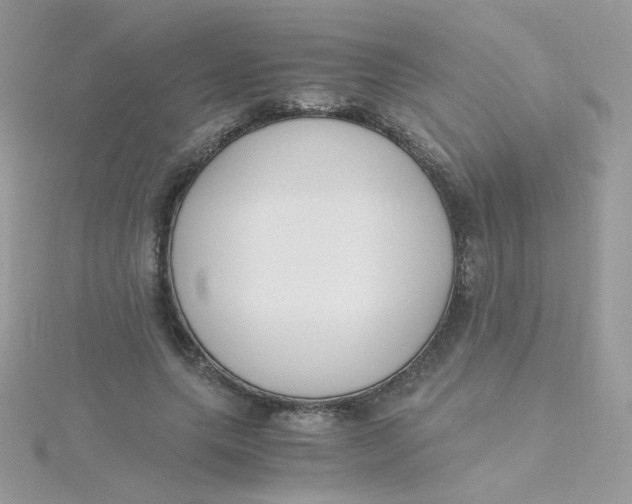 X0000115480639200911271329