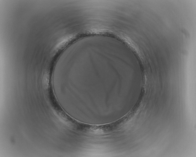 X0000115480640200911271329