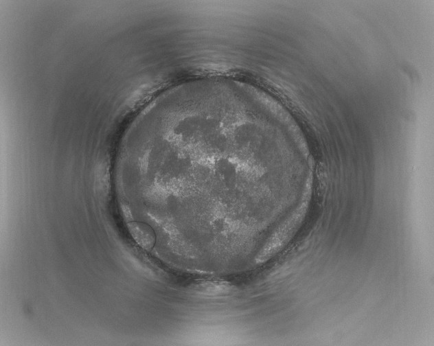 X0000115480642200911271329