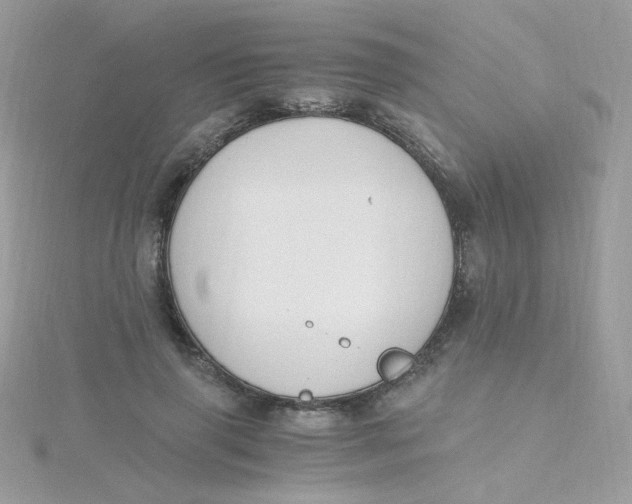 X0000115480645200911271329