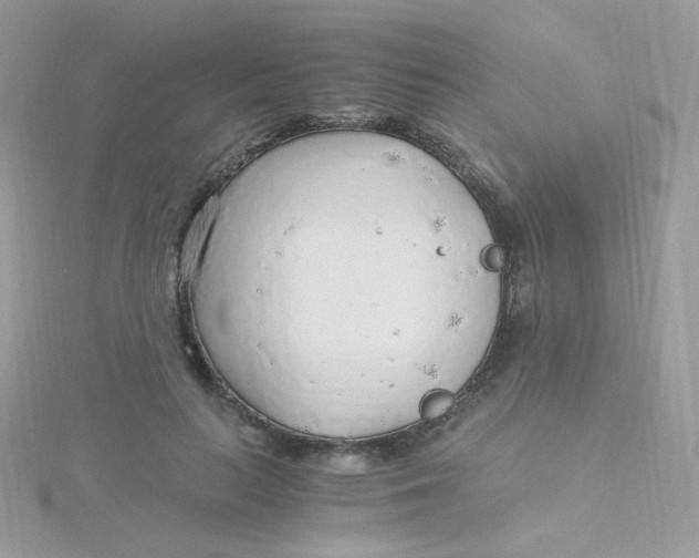 X0000115480647200911271329