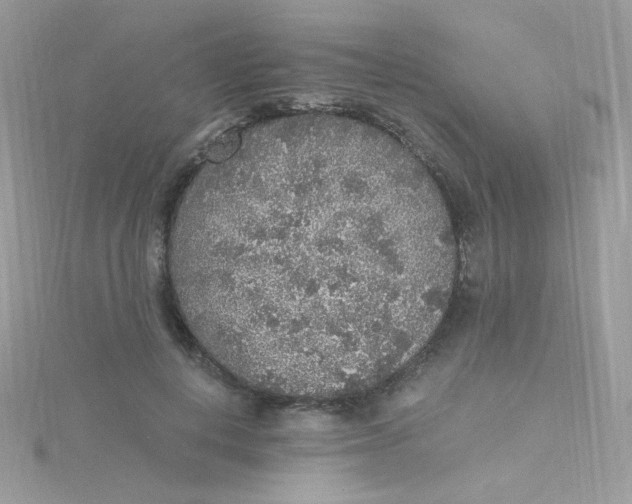 X0000115480648200911271329