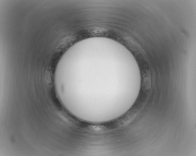 X0000115480654200911271329