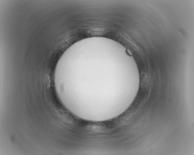 X0000115480655200911271329