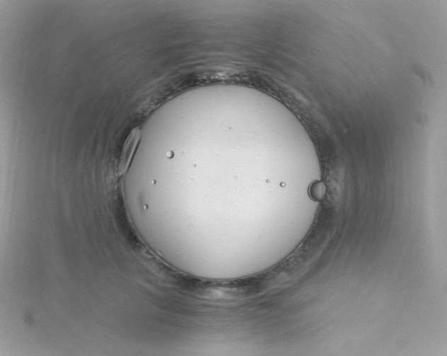 X0000115480657200911271329