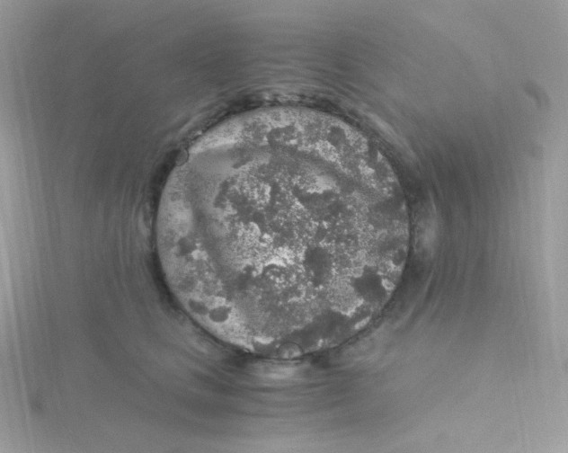 X0000115480661200911271329