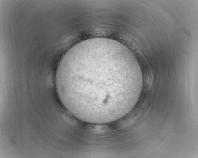 X0000115480663200911271329