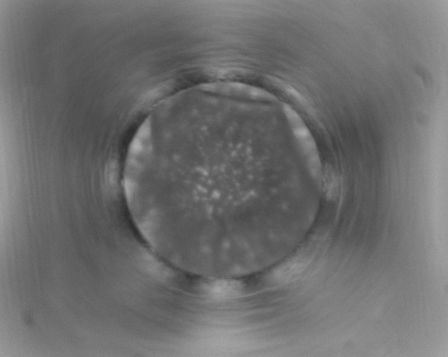 X0000115480670200911271329