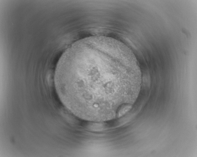 X0000115480671200911271329