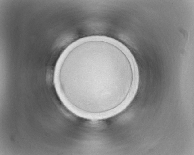 X0000115480672200911271329