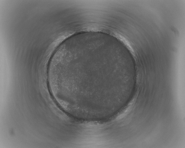 X0000115480673200911271329