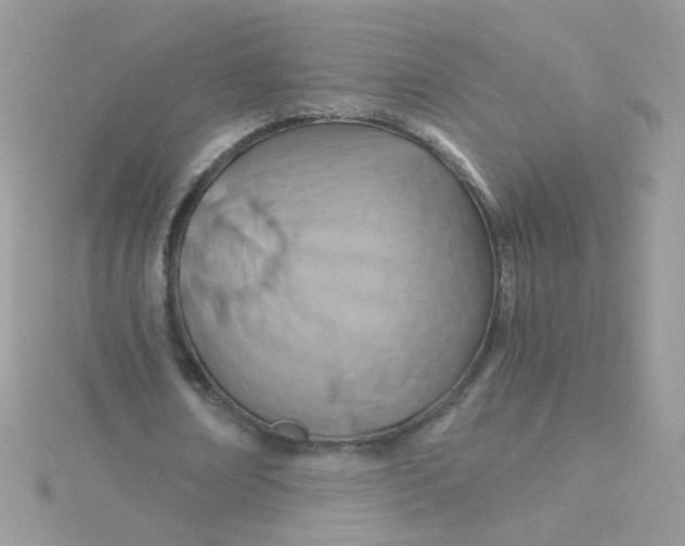 X0000115480674200911271329