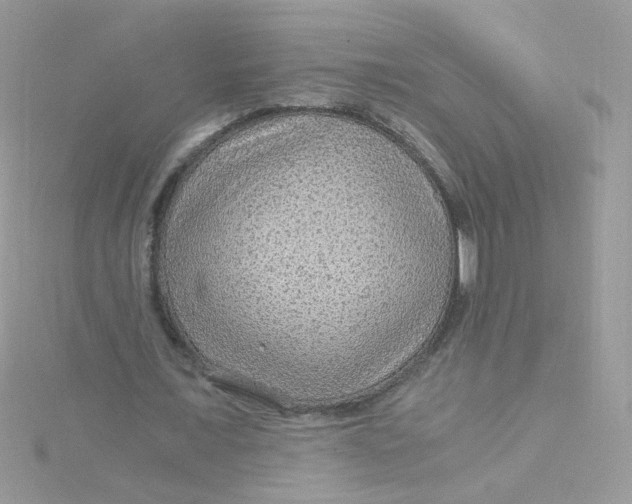 X0000115480675200911271329