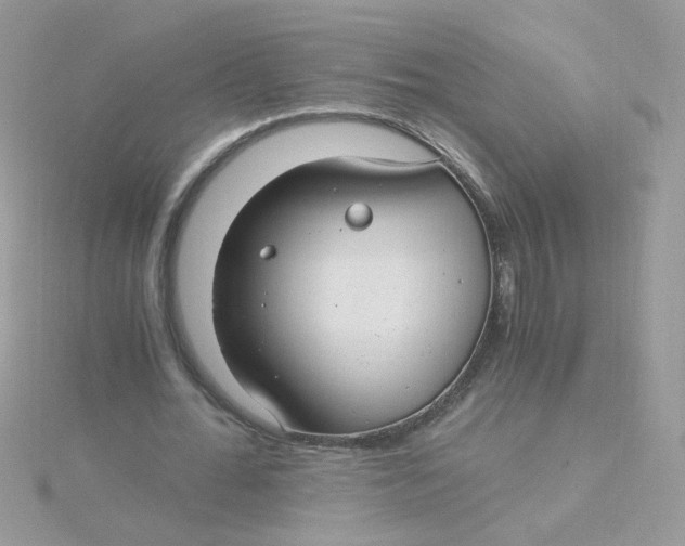 X0000115480676200911271329