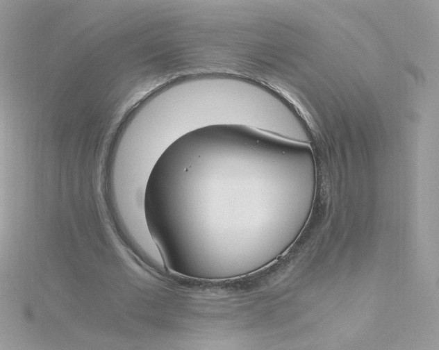 X0000115480677200911271329