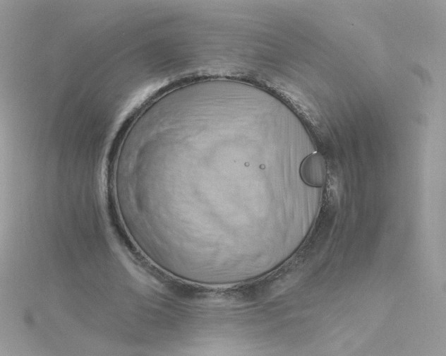 X0000115480678200911271329