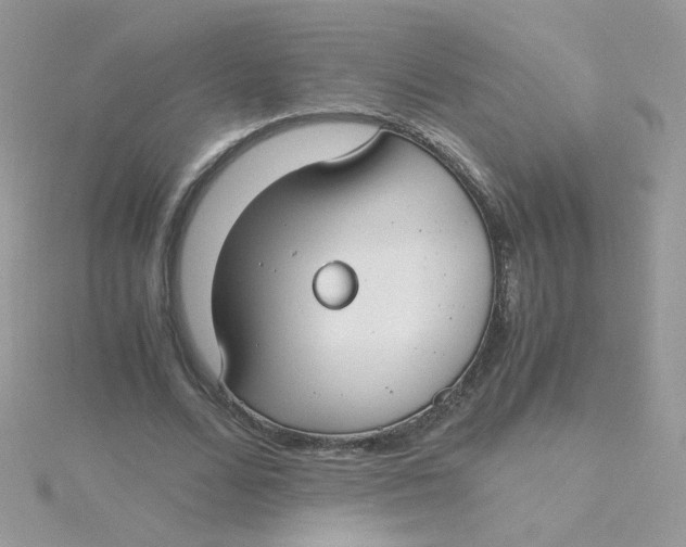 X0000115480680200911271329