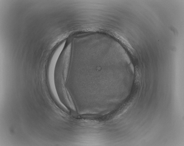 X0000115480681200911271328