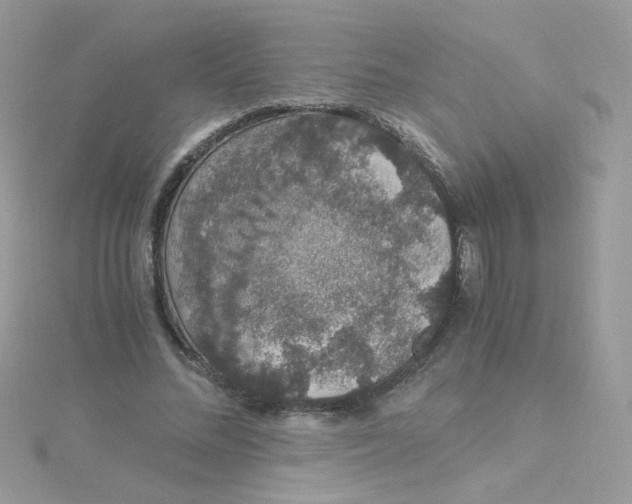 X0000115480684200911271328