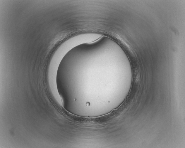 X0000115480685200911271328