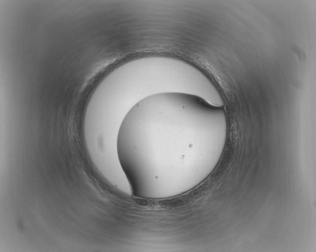 X0000115480688200911271328