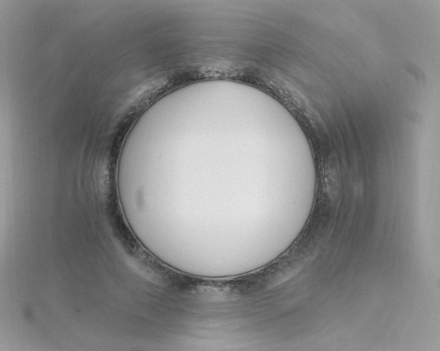 X0000115480690200911271328