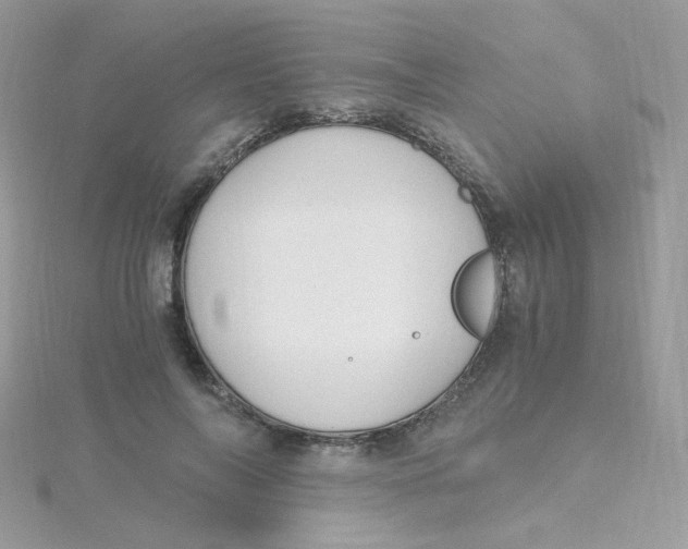 X0000115480694200911271328