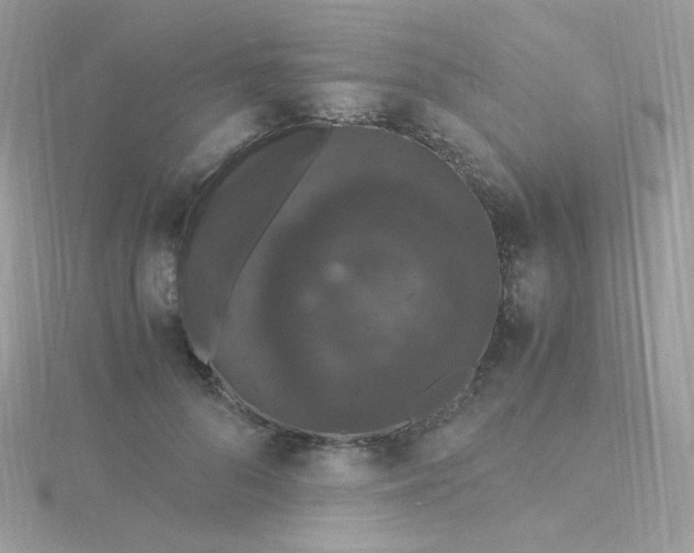 X0000115480696200911271328