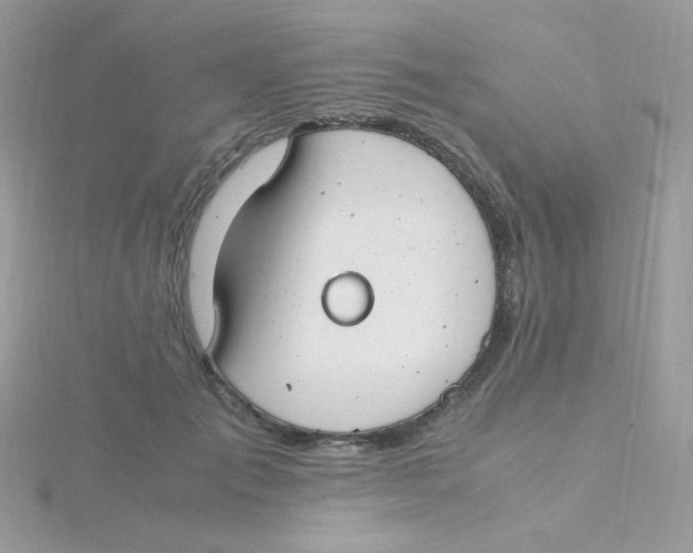 X0000115480701200911271328