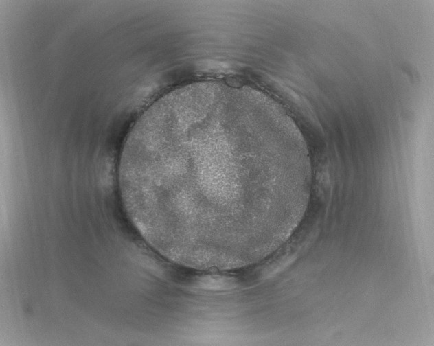 X0000115480708200911271328