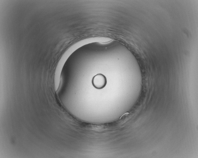 X0000115480709200911271328