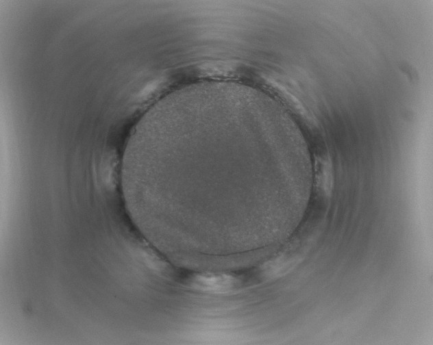 X0000115480712200911271328