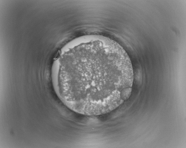 X0000115480715200911271328