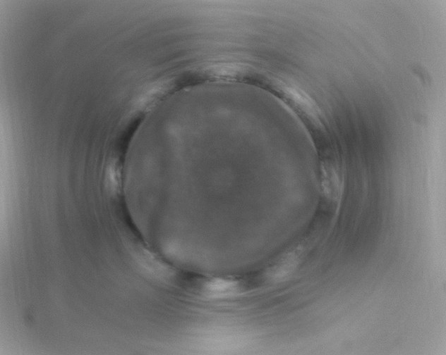 X0000115480718200911271328