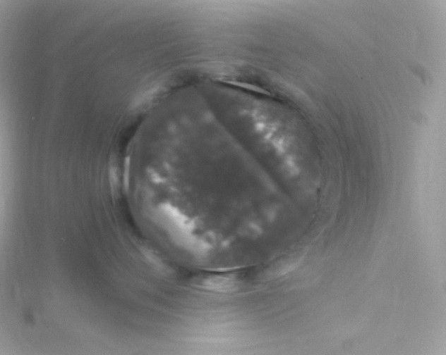 X0000115480720200911271328