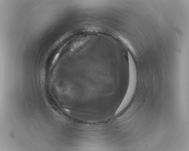 X0000115480722200911271327