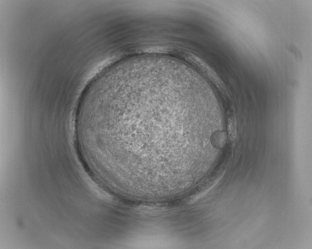 X0000115480725200911271327