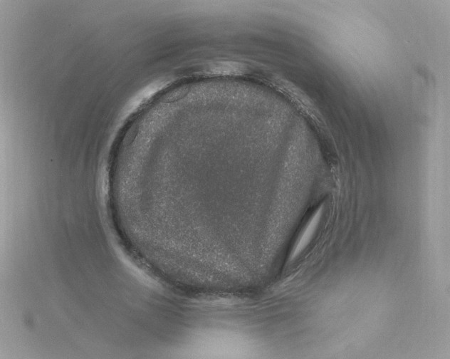 X0000115480726200911271327