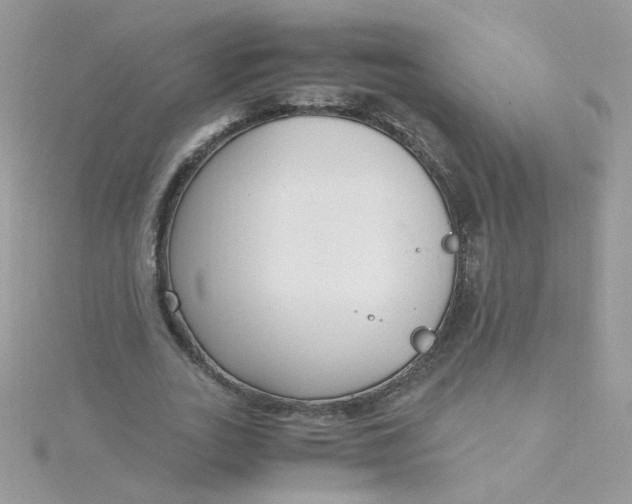 X0000115480727200911271327