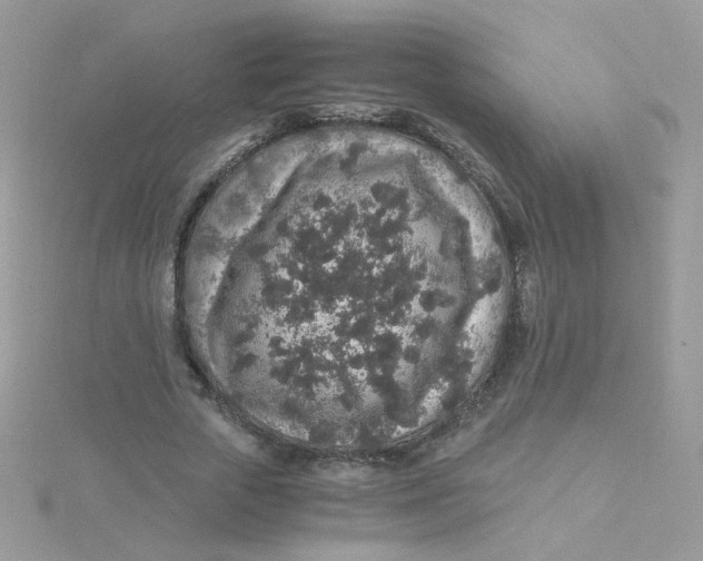 X0000115480729200911271327