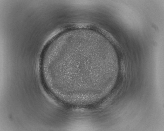 X0000115480730200911271327