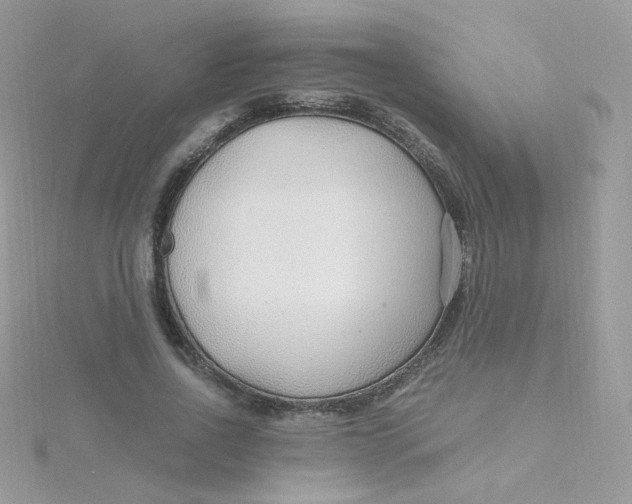 X0000115480734200911271328