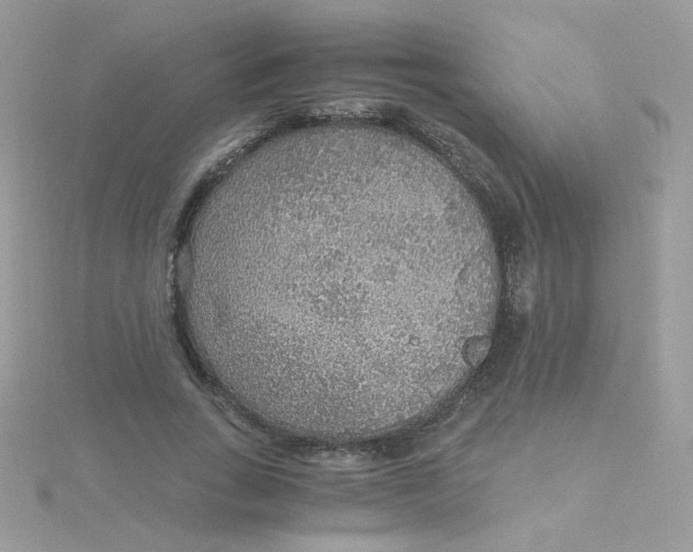 X0000115480735200911271328