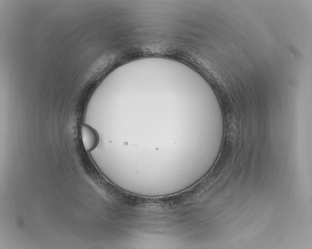 X0000115480738200911271328